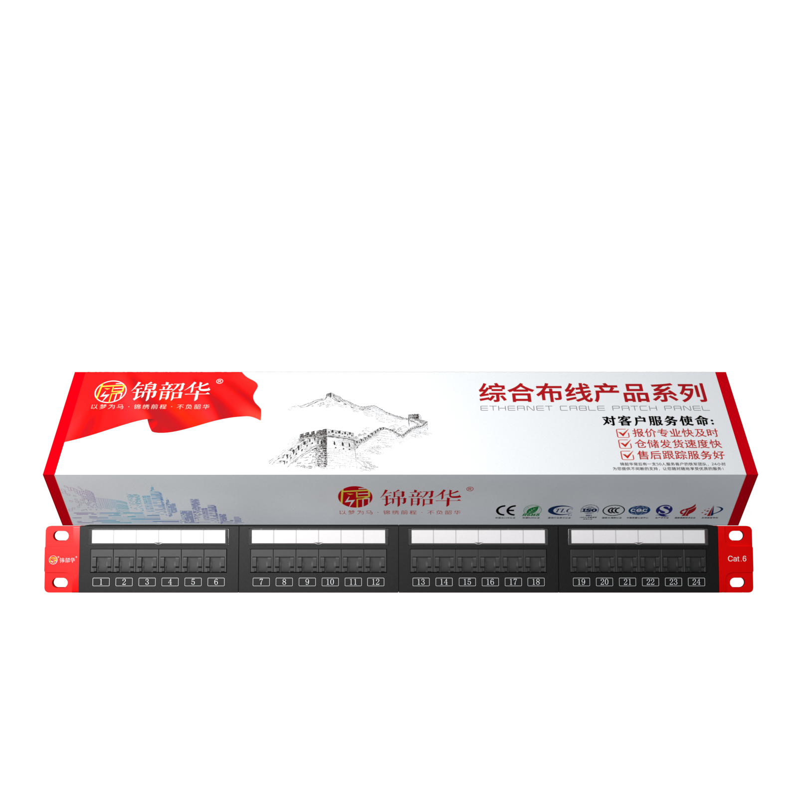 Rack Mounted Cat6 Patch Panel in Server Cabinet