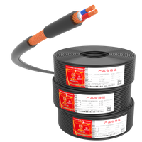 //ilrorwxhnmomll5m.leadongcdn.com/cloud/pjBpnKnmlrSRqlkjnnoikp/pingbixianlanShielded-Control-Cables.png