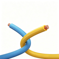 BVR Copper Conductor PVC Insulated Flexible Wire 450/750V Manufacturer China