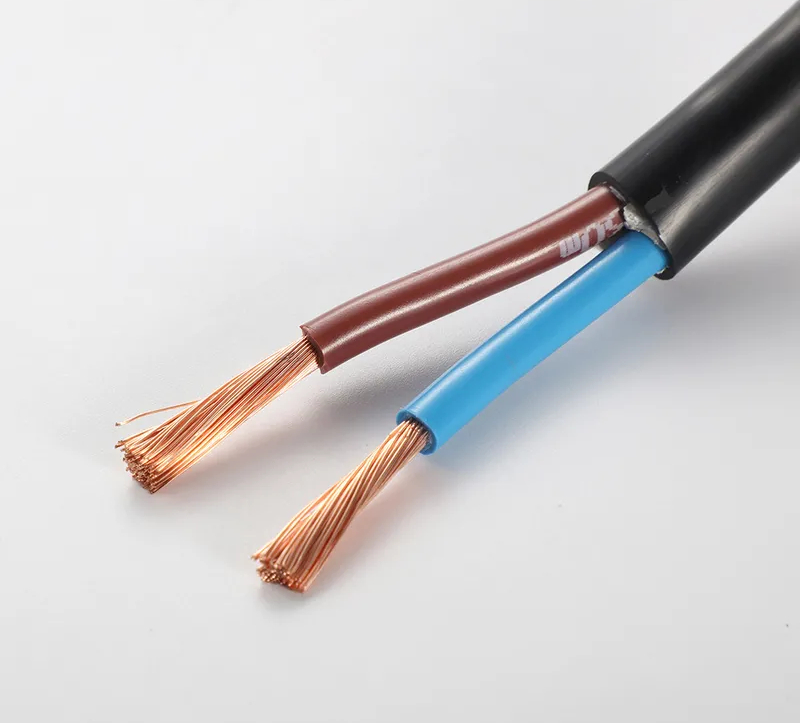 PVC Insulated Copper Cable 300/500V | PVC Sheathed Power Cable Manufacturer China